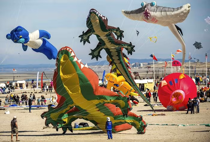 Bãi biển Berck-sur-Mer được chuyển thành rừng diều đủ mọi màu sắc. (Nguồn: Guardian)