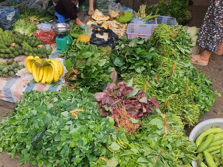 Ha Noi: Sau bao, rau xanh o cho tang gap 2-4 lan-Hinh-3
