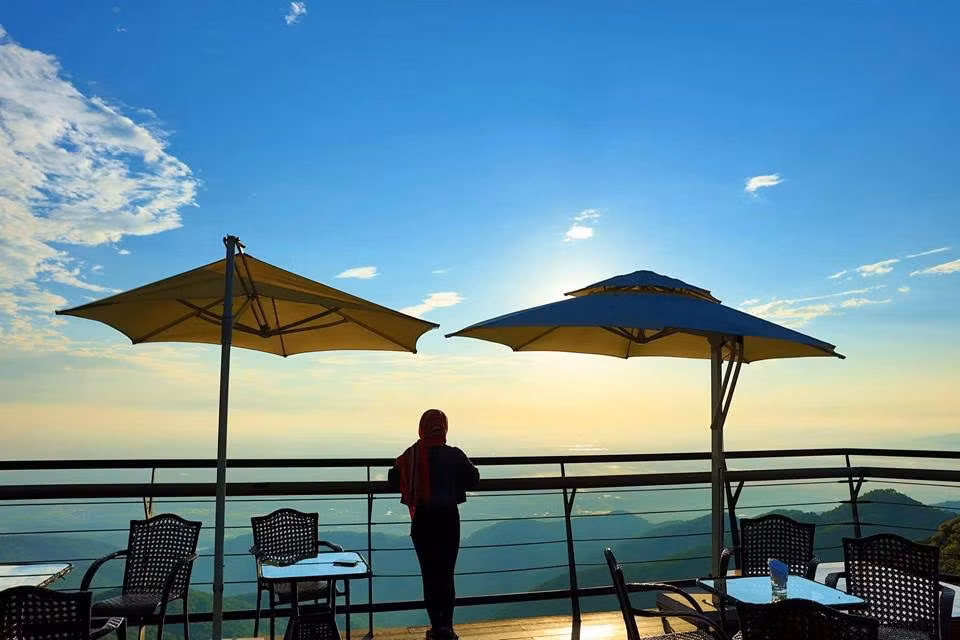 Ngồi nhâm nhi tách café, ngắm nhìn Tam Đảo từ trên cao, xoa xoa tay và hít hà từng luồng gió se lạnh, bạn sẽ thấy thật thư giãn.
