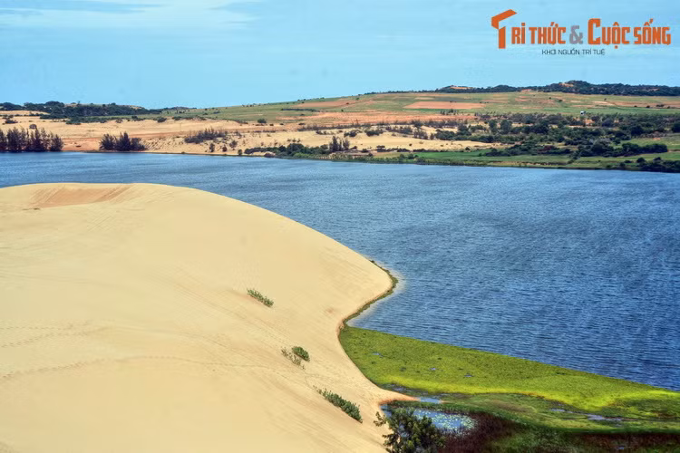 Hồ Bàu Trắng nằm cách đồi cát bay không xa, nơi có một khung cảnh thiên nhiên vô cùng đặc sắc với hai sắc thái đối lập: hồ nước xanh ngắt bên "sa mạc" mênh mông.