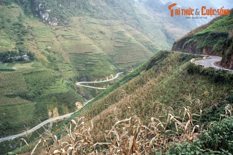 Nương ngô trên sườn núi hiểm trở nằm giữa những khúc cua của con đường Hạnh Phúc, một minh chứng cho sức sống bất tận của con người ở vùng đất khắc nghiệt địa đầu Tổ quốc.
