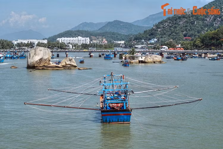 Sau khi đất nước hòa bình và thống nhất, sông Cái trở về với dáng vẻ thanh bình đã đi vào thơ ca. Dòng sông này là nguồn sống của hàng nghìn gia đình trong bối cảnh đất nước còn nhiều khó khăn.