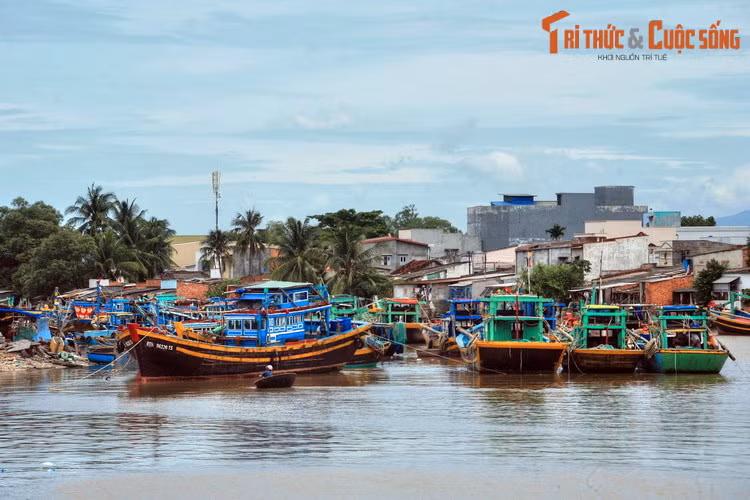 Với chiều dài 65 km, dòng sông này tạo nên nhiều khung cảnh đẹp cho thành phố vùng Nam Trung Bộ. Đó là vẻ bình yên của những ngôi nhà ẩn sau vườn cây xanh tốt, hay những con thuyền màu sắc tươi sáng neo đậu bên bờ sông.