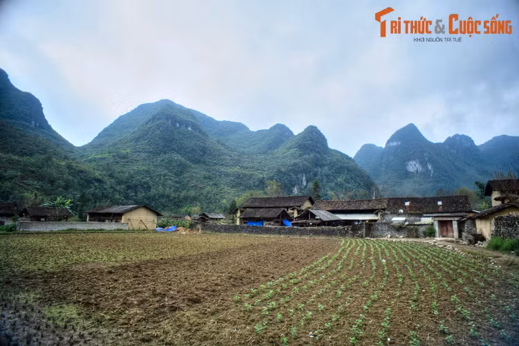 Lac loi giua ve dep nguyen so cua Pho Cao Ha Giang
