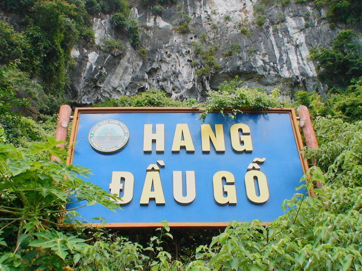 Kham pha hang dong dep hoang so, he dong thuc vat phong phu nhat VN