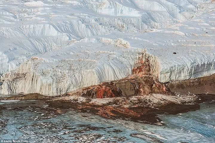 Hiện tượng "thác máu" ở hồ băng Taylor Glacier là do dòng nước giàu muối chứa nhiều sắt.