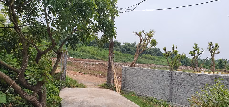 Mua ban dat nong nghiep o Hai Duong, “go” trach nhiem xa An Thuong-Hinh-3