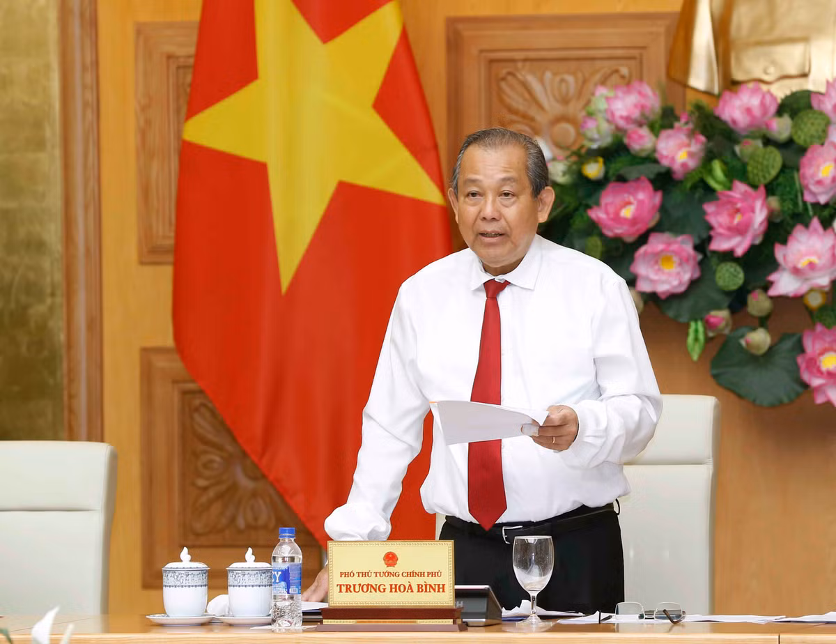 Trong các Phó Thủ tướng, có Phó Thủ tướng Thường trực Trương Hòa Bình, Ủy viên Bộ Chính trị khóa XII không tái cử Ban Chấp hành Trung ương Đảng khoá XIII do hết tuổi. Ông Trương Hòa Bình sẽ giữ cương vị Phó thủ tướng đến hết nhiệm kỳ khóa XIV.
