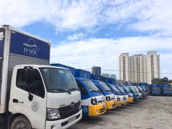 Dịch vụ hỗ trợ vận chuyển, xuất, nhập khẩu hàng hóa.