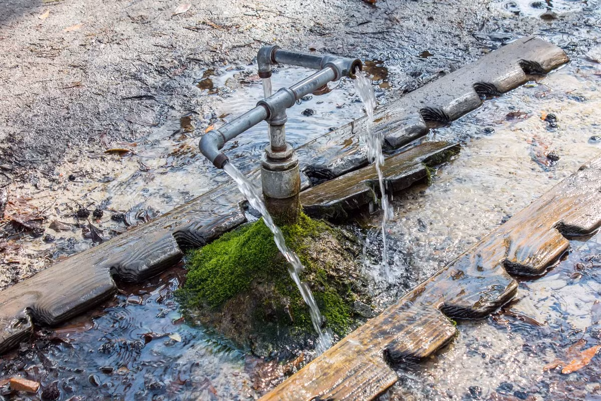Những câu chuyện "cải tử hoàn sinh" nhờ uống nước lấy từ dòng suối God's Acre Healing Springs khiến nơi đây càng được biết đến rộng rãi.