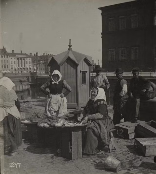 Một nhóm người dân ở Copenhagen trong lúc làm việc.
