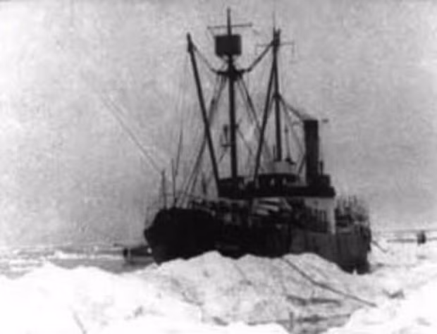 Đến năm 1921, công ty Hudson's Bay mua lại con tàu và đổi tên thành SS Baychimo. Kể từ đó, con tàu thực hiện các chuyến đi biển xuyên Bắc Đại Tây Dương. Tàu SS Baychimo thực hiện 9 chuyến đi biển thành công khi chở các mặt hàng như lông và da thú, thuốc lá, vũ khí...
