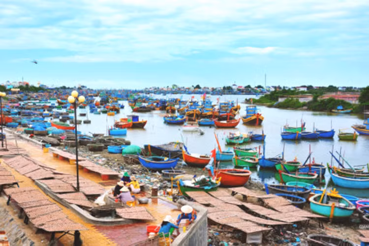 Phan Thiết, Mũi Né là lựa chọn tuyệt vời để nghỉ ngơi. Trên đoạn này có rất nhiều cửa sông đổ ra biển, nơi những con thuyền đầy màu sắc của ngư dân tụ về. Khám phá cuộc sống thường nhật ở làng chài, bạn có thể mua hải sản tươi rói, thậm chí cả tôm hùm với giá rẻ hơn rất nhiều.
