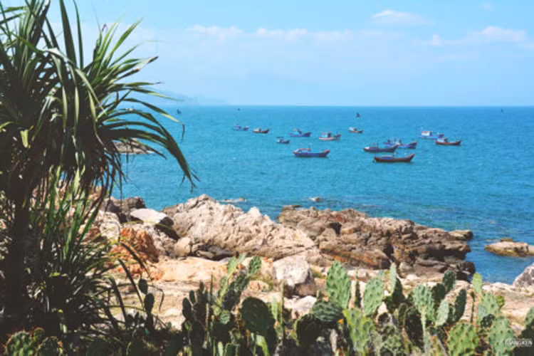 Miền đất “hoa vàng cỏ xanh” Phú Yên với những địa hình kỳ lạ có vô số điểm đến hấp dẫn: Gành Đá Dĩa như tổ ong xếp lớp, Gành Yến, Gành Đèn, Gành Ông, Bãi Xép,… Tới đây, bạn không thể bỏ qua các món ăn đặc sản từ cá ngừ.