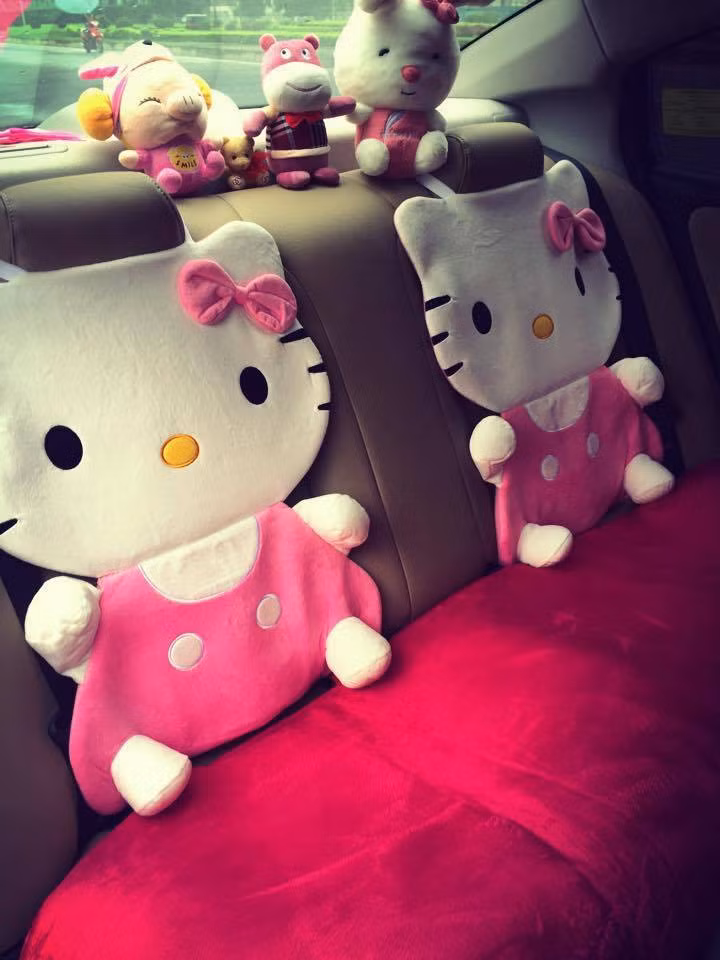 Chủ sở hữu của chiếc xe ô tô đáng yêu là Mai Thị Hằng, sinh năm 1992. Mai Thị Hằng đang sống và làm việc cùng gia đình tại Bỉm Sơn, Thanh Hóa. Chiếc xe là món quà bố mẹ Hằng tặng con gái vào năm ngoái khi Hằng chính thức đi làm.
