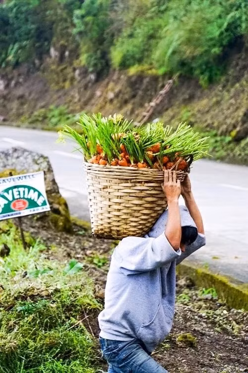 Nhiều người nhận xét, với độ bảnh trai của anh chàng nông dân này nếu được phát hiện và đầu tư sẽ có thể trở thành ngôi sao điện ảnh nổi tiếng.