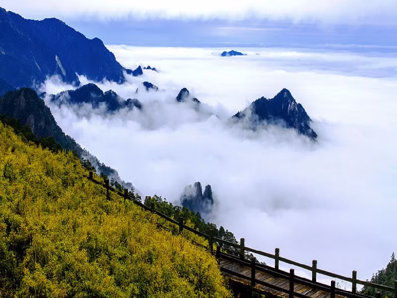 Thần Nông Giá có lịch sử văn hóa rất lâu đời và nguồn gốc cái tên được lấy trong từ “Shen Nong” mà theo tiếng Trung mang nghĩa là Thần Nông. Nơi đây chính là khởi tổ của nền văn minh nông nghiệp của Trung Quốc.