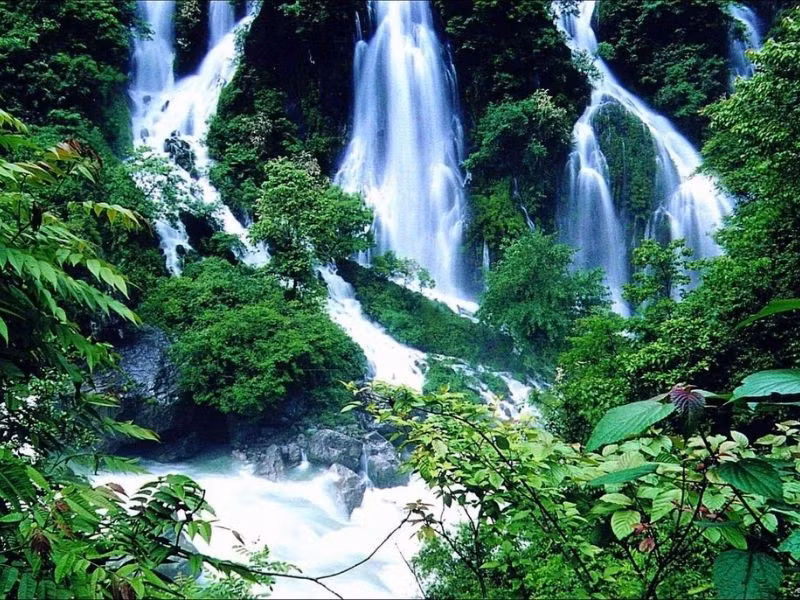Nơi đây có sông núi đan xen, đỉnh núi nhấp nhô nối tiếp nhau, rừng cây trải dài bạt ngàn, hồ nước rải rác, như thể tập trung hết 80% cảnh đẹp của Trung Quốc.