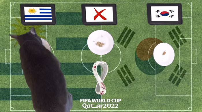 Theo đó, Cass đã lựa chọn Uruguay là đội bóng giành chiến thắng. Đây được xem là kết quả hợp lý nếu xét về tương quan lực lượng giữa hai đội bóng.