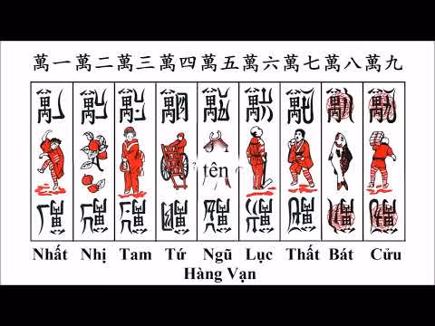 Giáo Sư Yumio Sakurai đã giới thiệu trong cuốn “Nihon No Kinsei 1, Nhật Bản Cận Thế, tập 1″ do nhà xuất bản Chuo Koron Sha, Trung Ương Công Luận Xã, xuất bản năm 1992. Theo Giáo Sư, loại chữ ghi trên đó cũng lạ, không hẳn là chữ Hán bình thường, một số chữ có thể là chữ Nôm? Thực ra, tất cả chỉ là chữ Hán viết kiểu cách đi thôi.