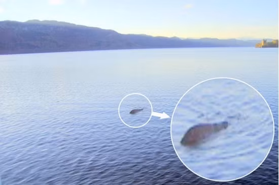 Lần gần đây nhất, quái vật hồ Loch Ness xuất hiện là vào cuối tháng 11/2011. Ông George Edwards, người săn tìm Nessie suốt 26 năm qua, đã chụp lại bức ảnh bằng máy kỹ thuật số, được cho là bức ảnh rõ nét nhất về con quái vật này.