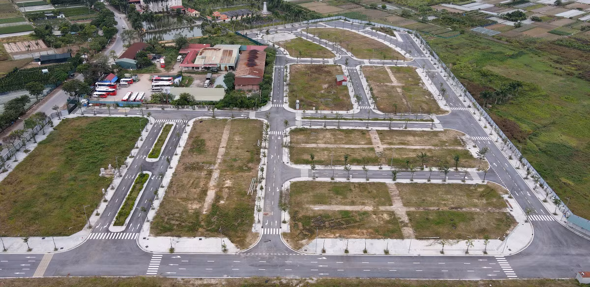 Nguyễn Thị Loan móc nối với cán bộ Ban quản lý dự án huyện Đông Anh để hạ giá khu đất đấu giá 500 tỷ ở Cổ Dương, huyện Đông Anh xuống 300 tỷ. Sau đó dùng chiêu trò "quân xanh, quân đỏ" nắm quyền chi phối trúng đấu giá với mức hơn 20 triệu đồng/m2 rồi bán với thửa có giá cao nhất lên tới 110 triệu đồng/m2.