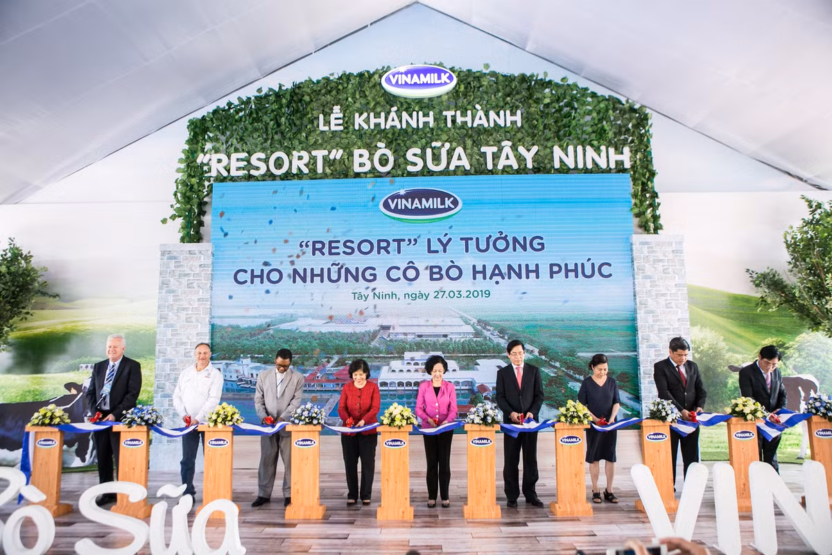 “Resort” bo sua Vinamilk Tay Ninh ngoi nha ly tuong cua nhung co bo hanh phuc-Hinh-11