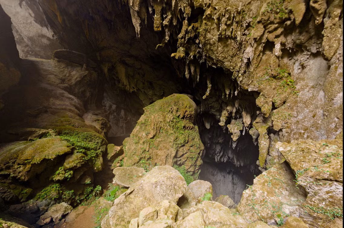 Tất cả các bức ảnh của Son Doong in 360º đều có dung lượng rất lớn, do đó độc giả hoàn toàn có thể phóng to chúng để xem từng chi tiết. Ngoài ra, độc giả cũng có thể dùng chuột (hoặc màn hình cảm ứng) để xoay ảnh tròn 360º, độc giả còn có thể nghe thấy những âm thanh của rừng núi như tiếng chim hót, tiếng lá cây xào xạc… Ước tính chiều dài của hệ thống hang động tại Phong Nha - Kẻ Bàng lên tới hơn 200km. Cửa vào hang Sơn Đoòng là một dốc thoải trơn trượt chui vào bóng tối.