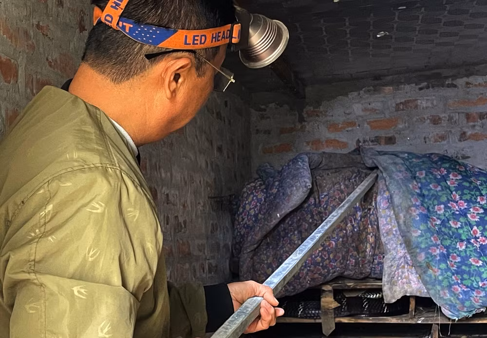 Thị trường Trung Quốc là nơi tiêu thụ chủ yếu rắn thương phẩm và rắn sinh sản của người dân nơi đây.
