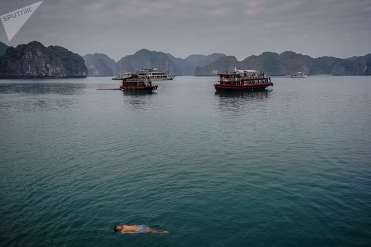 Vịnh Hạ Long trong một ngày đẹp trời cho buổi tham quan bằng du thuyền. Ảnh: Sputnik.