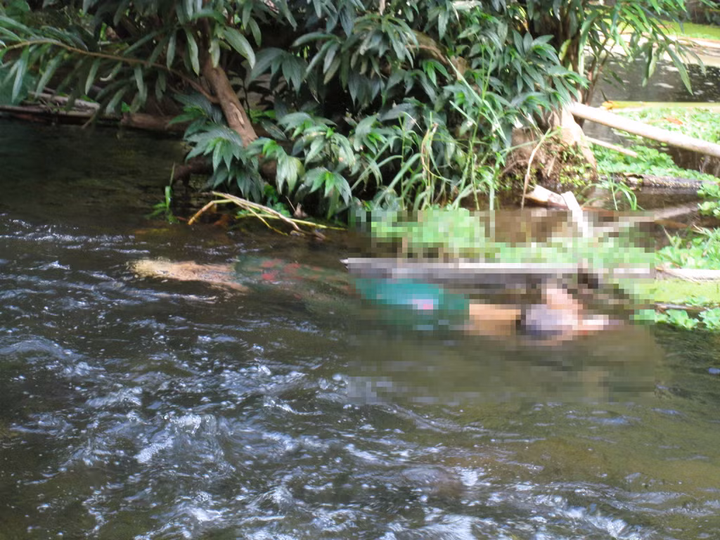 Hien truong tham sat 4 nguoi trong mot gia dinh-Hinh-2