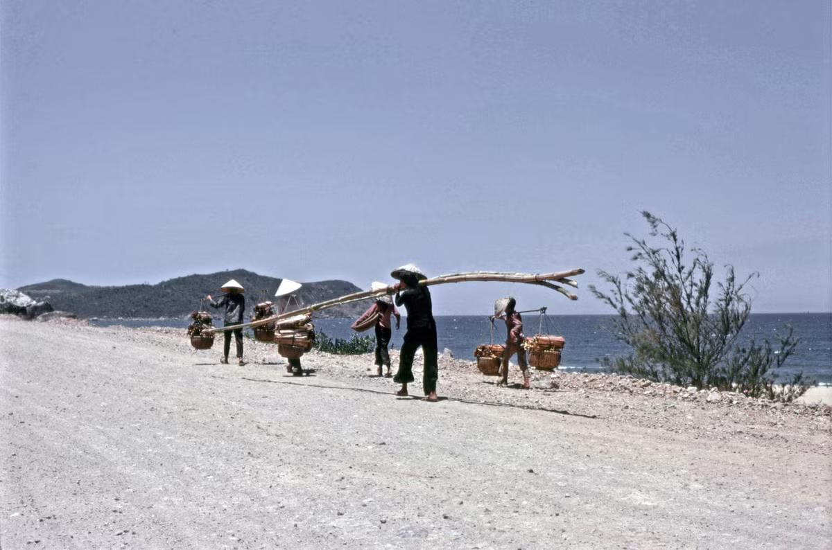Trên Quốc lộ 1, đoạn chạy qua Tam Quan, Hoài Nhơn, Bình Định năm 1968. Ảnh: Steve Simpson/ 19engrvn.
