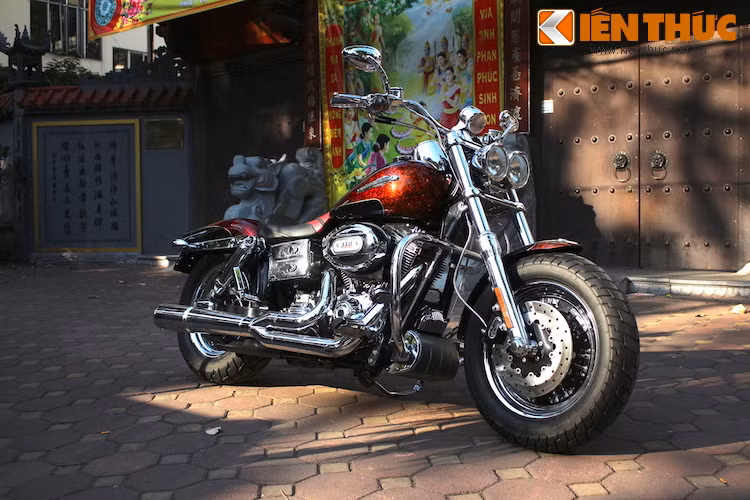 Năm 2008, dòng Harley Dyna Fat Bob đã lần đầu tiên được giới thiệu, mở ra một "trang sử" mới về thiết kế đối với hãng môtô truyền thống Mỹ. Chỉ ngay 1 năm sau đó, bộ phận đặc biệt Custom Vehicle Operation đã có ngay một phiên bản đặc biệt cho dòng xe mới này.