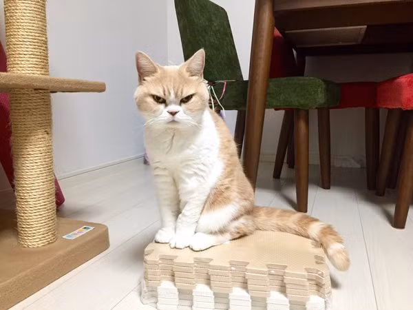 Chê em, em nghỉ chơi nha.