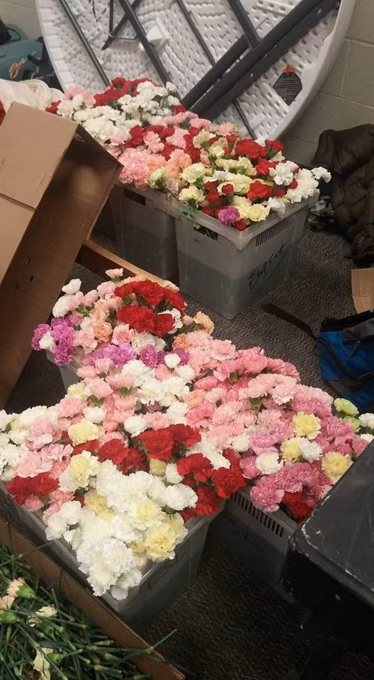 Với sự trợ giúp của 20 người bạn khác, Hayden Godfrey đã gửi tặng được cho mỗi nữ sinh cùng trường gần 900 cành hoa. Hành động của nam sinh này khiến tất thảy các giáo viên, học sinh nam, nữ trong trường hết sức kinh ngạc.