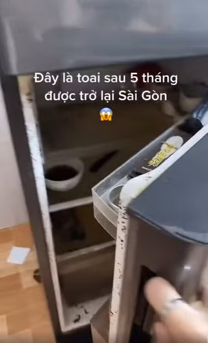 Điển hình như trường hợp khác của một bạn sinh viên, sau 5 tháng quay lại Sài Gòn, khi mở tủ lạnh là cảnh tượng mốc meo, đồ ăn thối rữa,...xuất hiện trước mắt.
