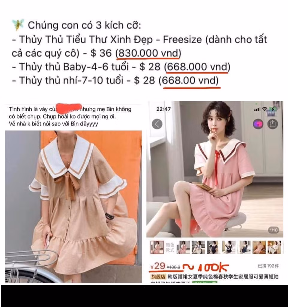 Những mẫu đầm mà cô nàng giới thiệu, buôn bán đều là những kiểu dáng phổ biến, xuất hiện nhan nhản trên các trang thương mại điện tử với giá rẻ bèo.