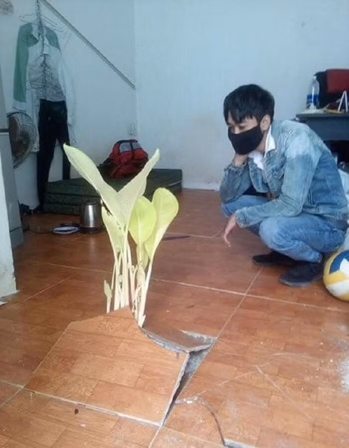 Đúng là với những cô cậu sinh viên hậu đậu, vốn đã quen với sự chăm sóc của cha mẹ thì chẳng thể nào chu toàn hết việc dọn dẹp mọi thứ trước khi đóng cửa phòng trọ và về quê.