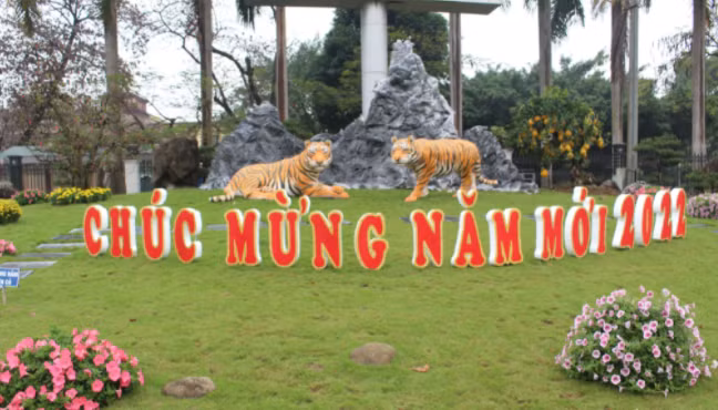 Hai bức tượng hổ được trang trí tại khuôn viên ngoài trời của Bảo tàng Văn hóa các dân tộc Việt Nam ở TP Thái Nguyên (Thái Nguyên) khiến nhiều người dân trầm trồ, hào hứng.