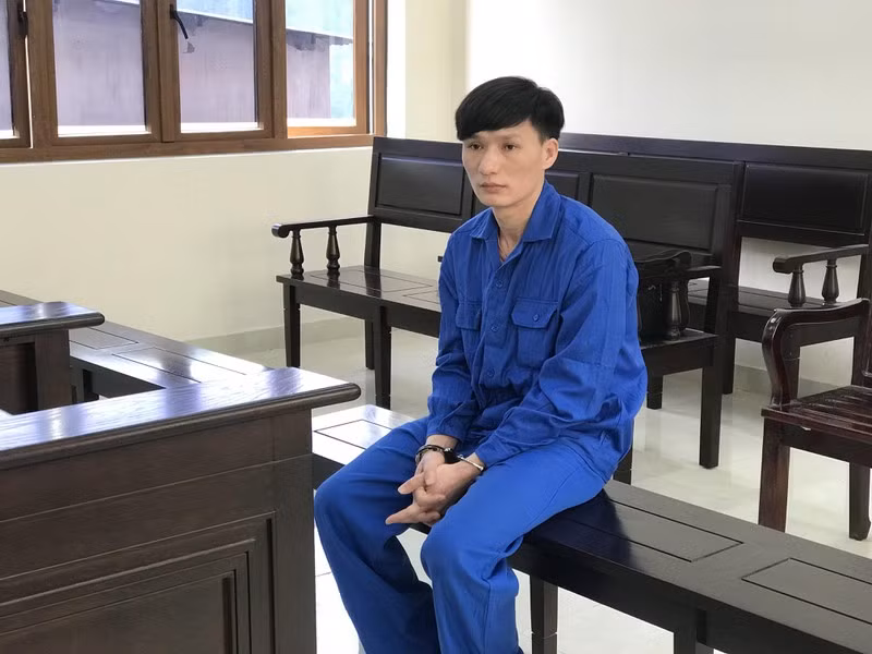 Ngày 26/2/2021, TAND tỉnh Đồng Nai đã tuyên phạt bị cáo Đậu Đức Mười (32 tuổi, huyện Quỳnh Lưu, Nghệ An) tù chung thân về tội giết người, 7 năm tù về tội cướp tài sản và 3 năm tù về tội trộm cắp tài sản. Tổng hình phạt tù là án chung thân.