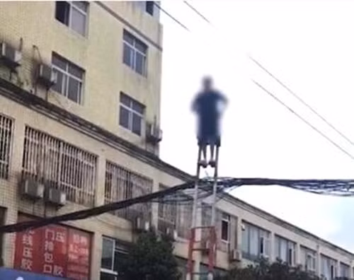 Chuyện lạ hôm nay: Cụ bà 70 leo thang, đánh đu trên dây điện... - Hình 2 Chuyen la hom nay: Cu ba 70 leo thang, danh du tren day dien...-Hinh-2