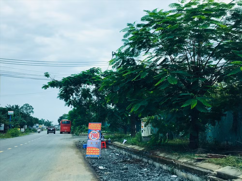 Cơn sốt đất Long Thành: Chính quyền cảnh báo, môi giới vẫn “làm loạn“ Con sot dat Long Thanh: Chinh quyen canh bao, moi gioi van “lam loan“