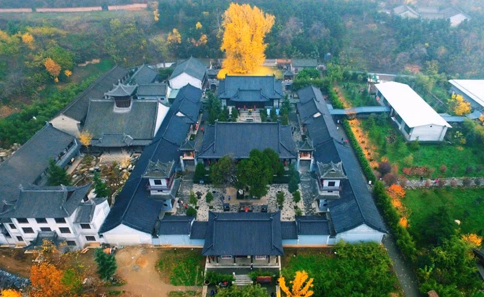 Mặc dù những bức ảnh chụp được toàn cảnh của cây bạch quả ngàn năm tuổi, thế nhưng vì góc chụp độc lạ, lại gợi liên tưởng có phần kỳ lạ.
