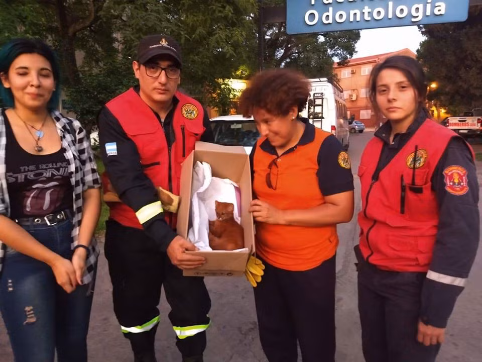 Theo thông tin đăng tải, cô Florencia Lobo, ở Tucumano, Argentina mới đây trong lúc đi dã ngoại đã tìm thấy một chú mèo con đáng thương trong một hang động gần Santa Rosa de Leales.