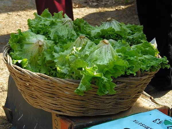 4. Ăn nhiều rau xanh: Đây là một trong những cách làm chậm các dấu hiệu lão hóa. Các chất chống oxy hoá và vitamin K có trong rau bina, cải xoăn, lá bạc hà... có thể thúc đẩy quá trình tái tạo tế bào. Ảnh: Boldsky.
