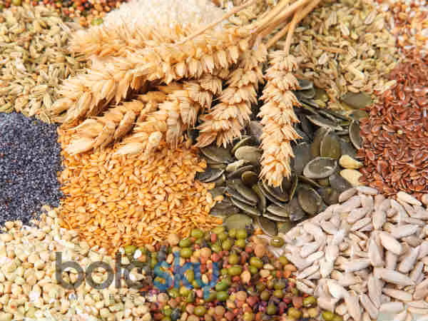 Thực phẩm giàu sắt như gạo, lúa mì, lúa mạch và yến mạch tạo ra những bữa ăn lành mạnh tuyệt vời cho những bệnh nhân thiếu máu. Ảnh: Boldsky.