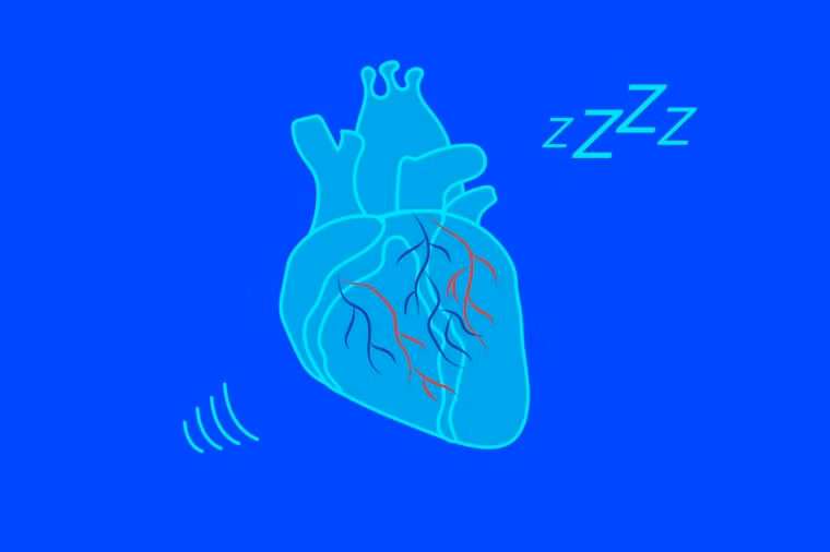 Ảnh: RD.
