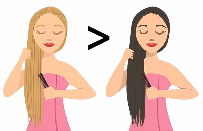 Cô gái tóc vàng có ít tóc hơn người tóc đen: Trên thực tế, các nhà khoa học đã khám phá ra rằng những cô gái tóc vàng có mái tóc nhiều hơn cả những người tóc đen và tóc đỏ. Tuy nhiên, tóc của họ mỏng hơn nhiều. Đó là lý do tại sao các cô gái tóc vàng tự nhiên hiếm khi được tự hào về mái tóc dày mượt trong khi tóc đỏ luôn khiến người khác phải ghen tị vì điều đó. Ảnh: Depositphotos.