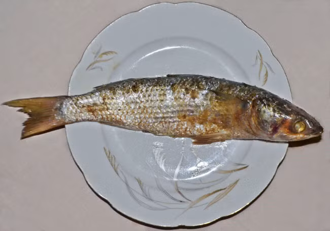 11. Cá đối sống ủ muối (Feseekh): Đây là một trong nững món ăn truyền thống của người Ai Câp, làm từ cá đối Mugil ủ lên men. Ở Ai Cập, món cá này trở thành món ăn truyền thống trong lễ hội Sham el-Nessim để chào mừng mùa xuân. Mặc dù Bộ Y tế luôn cảnh báo mọi người về hậu quả chết người khi ăn món này nhưng tình yêu dành cho món ăn truyền thống của họ rất lớn. Ảnh: Brightside.