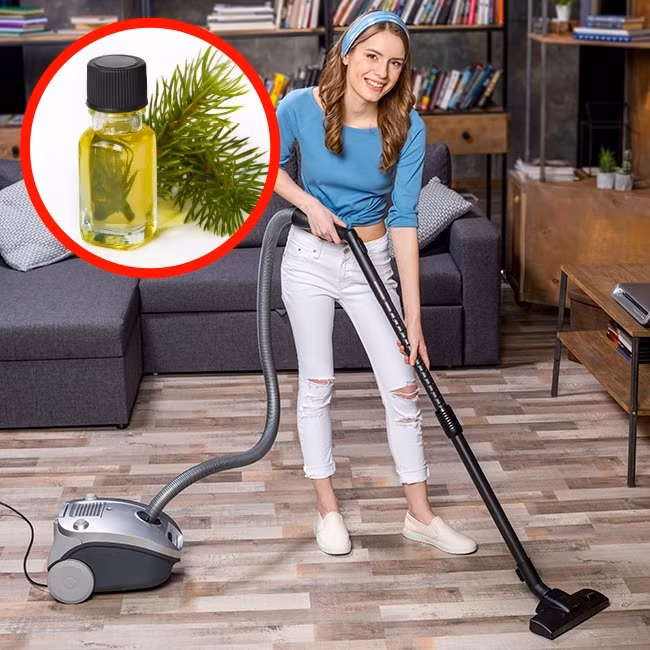 Loại tinh dầu này giúp khử trùng không khí trong nhà. Thoa một ít dầu vào một quả bông và hút nó vào máy hút bụi. Khi bạn dùng máy hút bụi, ngôi nhà của bạn sẽ tràn đầy mùi hương dễ chịu. Ảnh: Depositphotos.